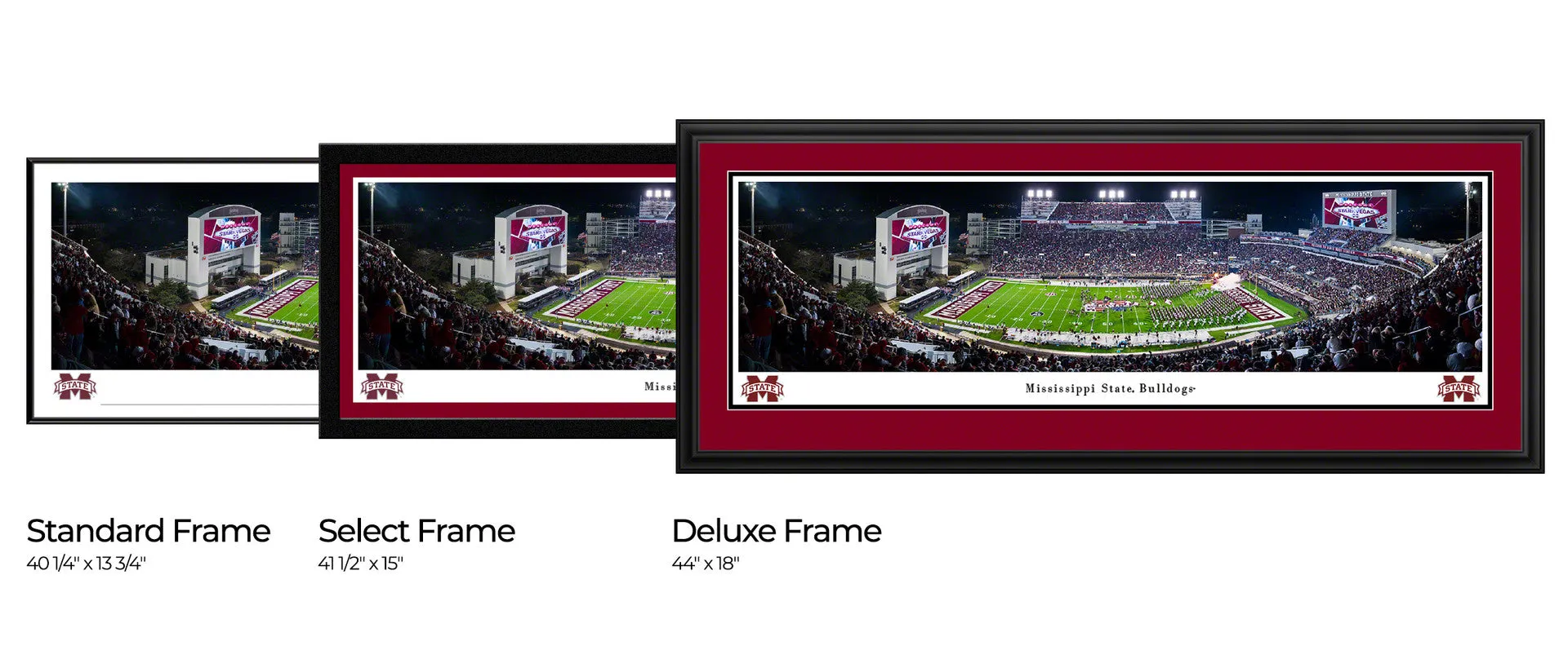 Davis Wade Stadium Night Panorama