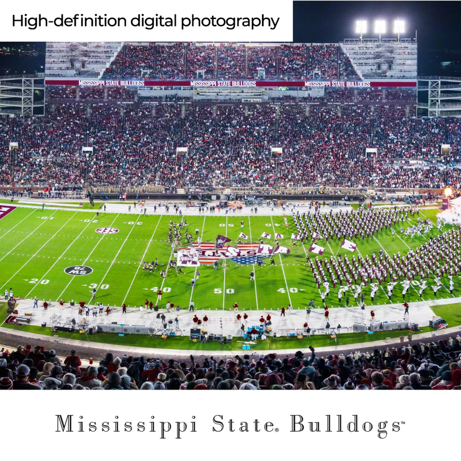 Davis Wade Stadium Night Panorama