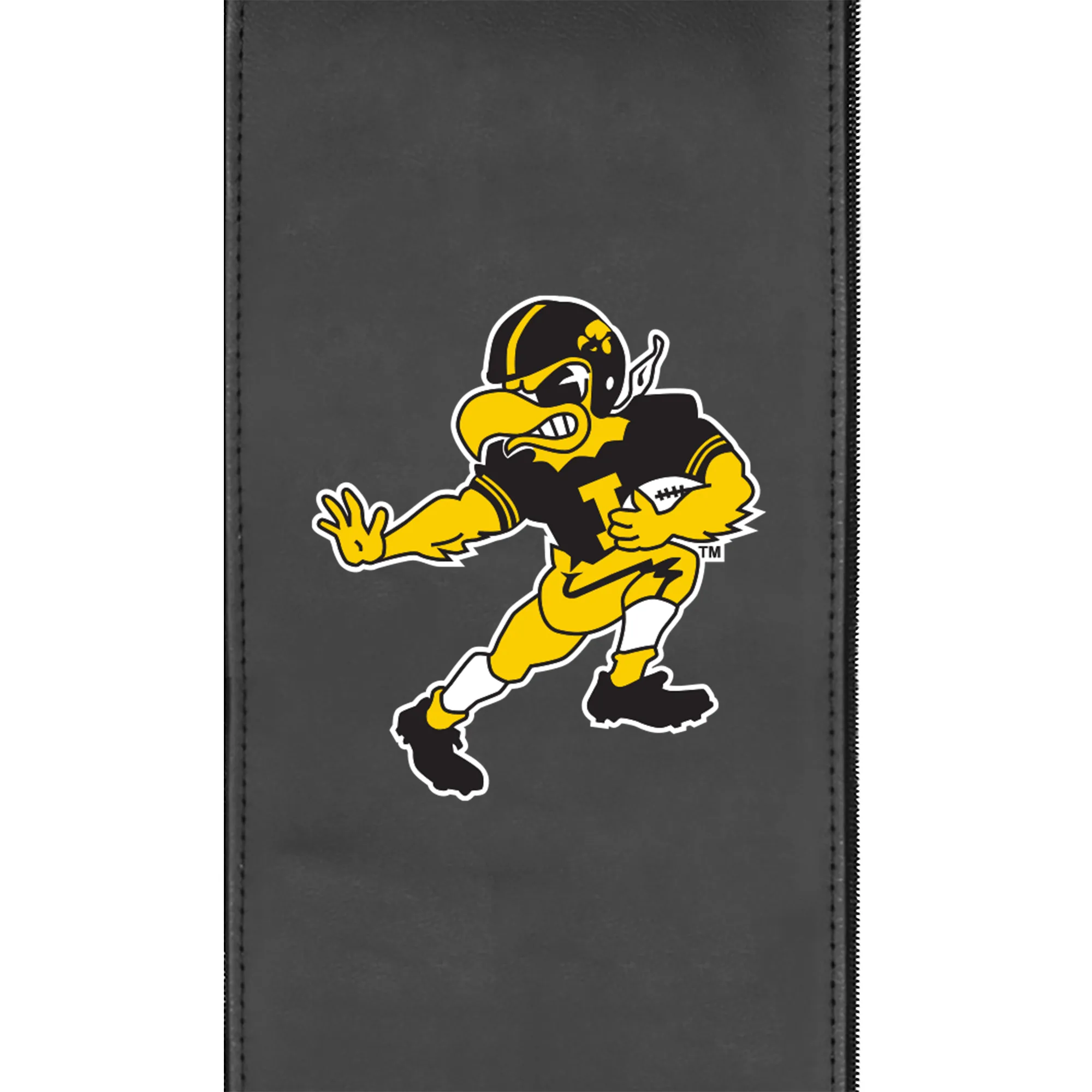 SuiteMax 3.5 VIP Seats with Iowa Hawkeyes Football Herky Logo